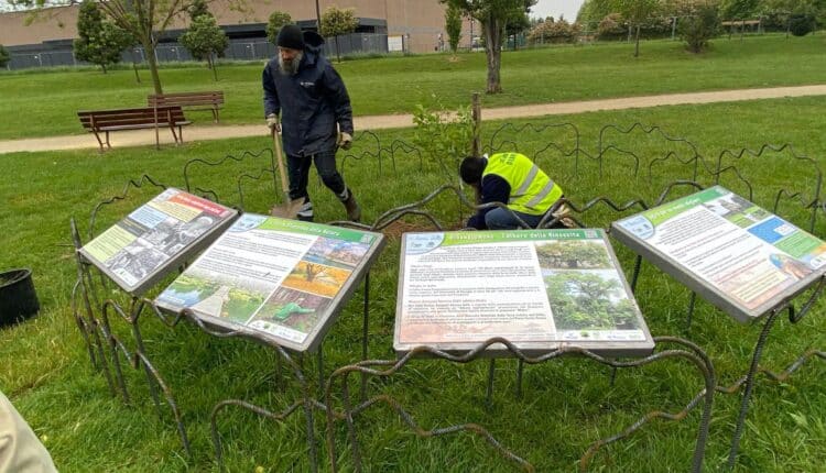 Verona. Giornata Mondiale della Terra: al Parco Santa Teresa l'albero della rinascita.