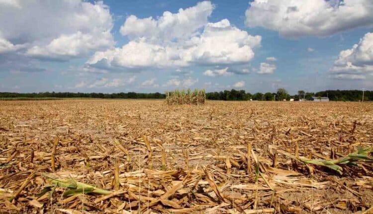 Sicilia, Schifani: «Situazione drammatica, la Sicilia chiede lo stato di emergenza nazionale»