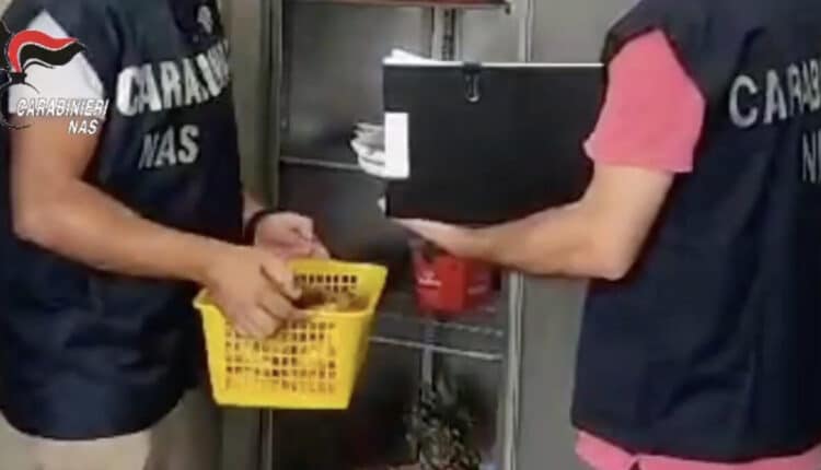 Siracusa: 230kg di pesce avariato e bevande non tracciate, sanzioni per oltre 11.000 euro.