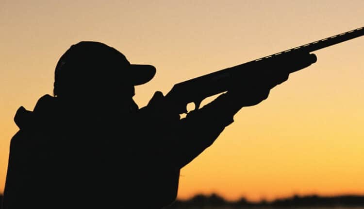 Vicenza, chiama la Polizia per denunciare il furto del suo fucile da caccia: l'arma viene ritrovata nell'appartamento e sequestrata