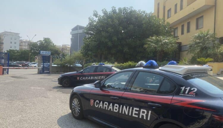 Soveratese (CZ): controlli dei Carabinieri, riscontrate molte irregolarità