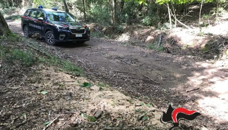 Grosseto. I Carabinieri forestali della provincia di Grosseto si sono impegnati sui controlli sulla circolazione fuori strada per la tutela del paesaggio.