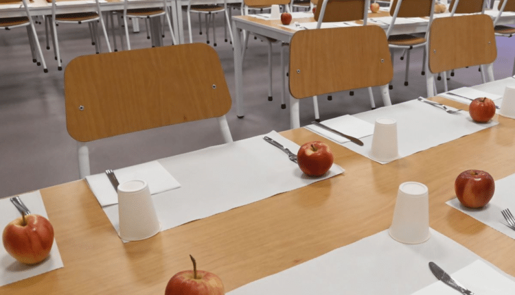 Milano, arriva nelle mense scolastiche il menu estivo, tra novità e attenzione per l'ambiente