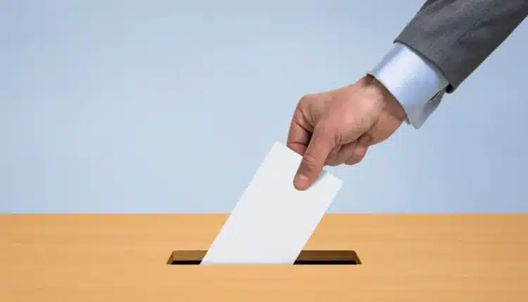 Bologna. Elezioni europee 2024, tutte le modalità di voto per le studentesse e studenti fuori sede.