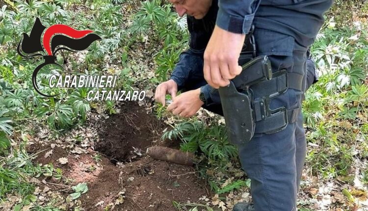 Maida, Catanzaro. Rinvenuta nelle campagne una granata della 2° Guerra Mondiale: intervento degli Artificieri dei Carabinieri.