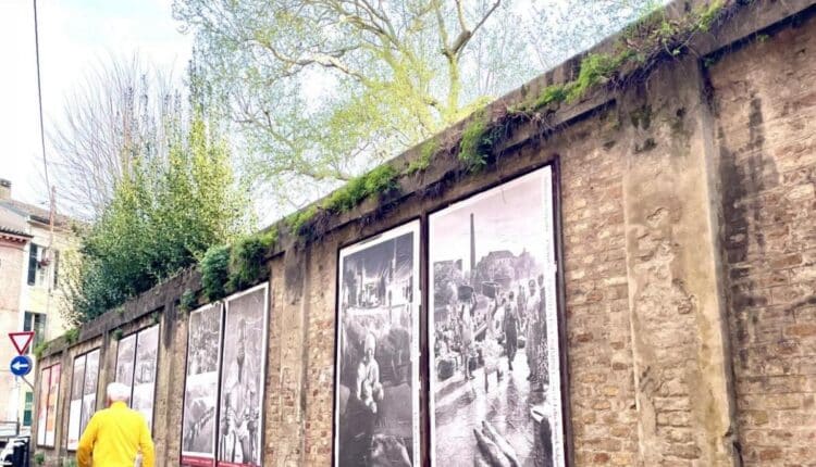 Ravenna: le riproduzioni delle fotografie di Sebastião Salgado nella galleria a cielo aperto in via Zirardini