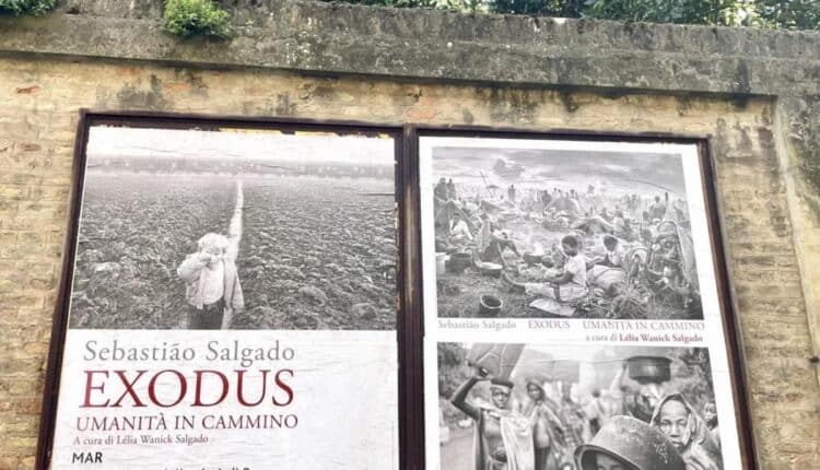 Ravenna: le riproduzioni delle fotografie di Sebastião Salgado nella galleria a cielo aperto in via Zirardini