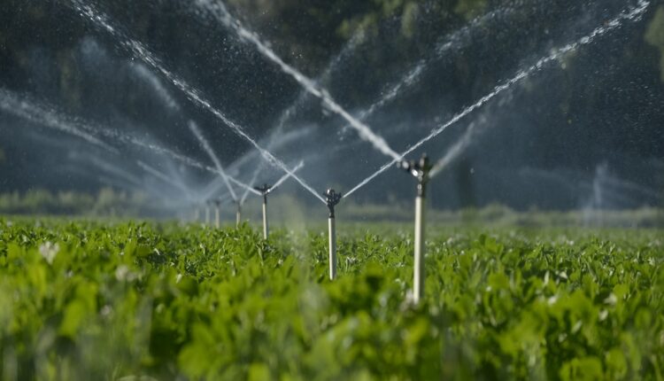 Lombardia, agricoltura: assessore Beduschi: "riapre bando per finanziare aziende con tecnologie sempre più moderne"