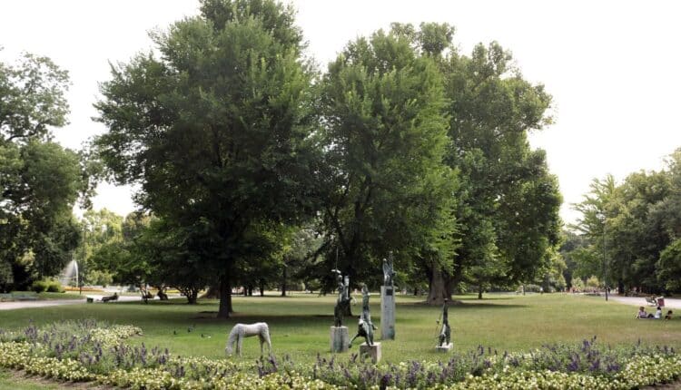 Milano. In 54 prati della città erba alta per favorire la biodiversità, contrastare le isole di calore e preservare il suolo dalla siccità.