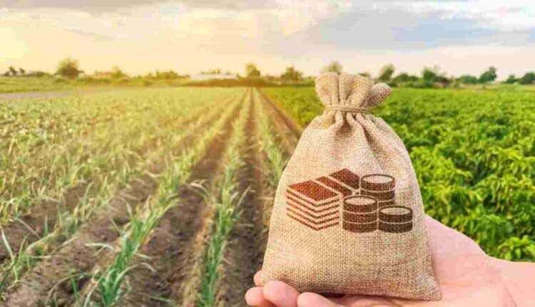 Sicilia: bando da 78 milioni per premiare i progetti dei giovani agricoltori