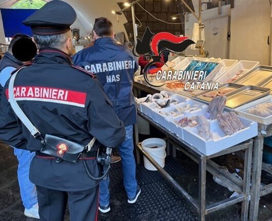 Catania: controlli a tappeto in Pescheria, 5000 € di multe e 120 kg di pesce sequestrato