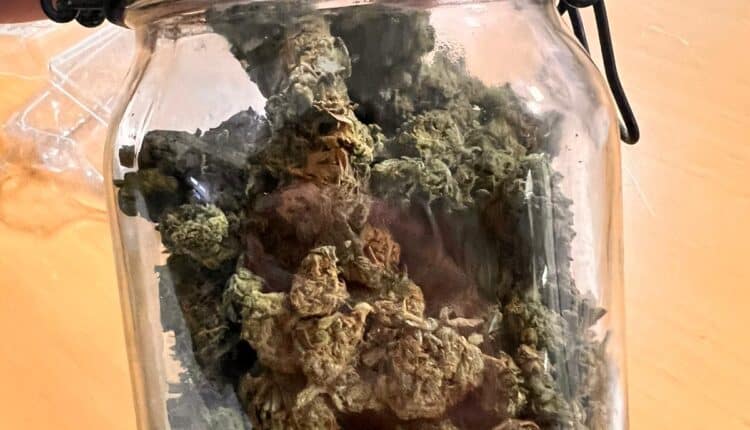 Rimini, attirati da uno strano odore scoprono oltre 200 gr di sostanza stupefacente: arrestato un cittadino tunisino