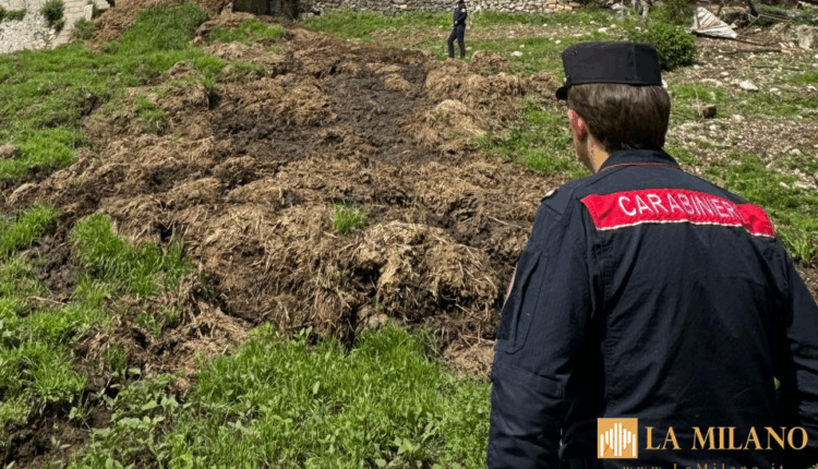 Piedimonte Matese, sequestrate aree interessate da illecito smaltimento di rifiuti speciali: denunciati due coniugi