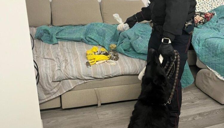 Lucca, 335 grammi di cocaina nascosti in un pacco regalo: arrestati 4 persone