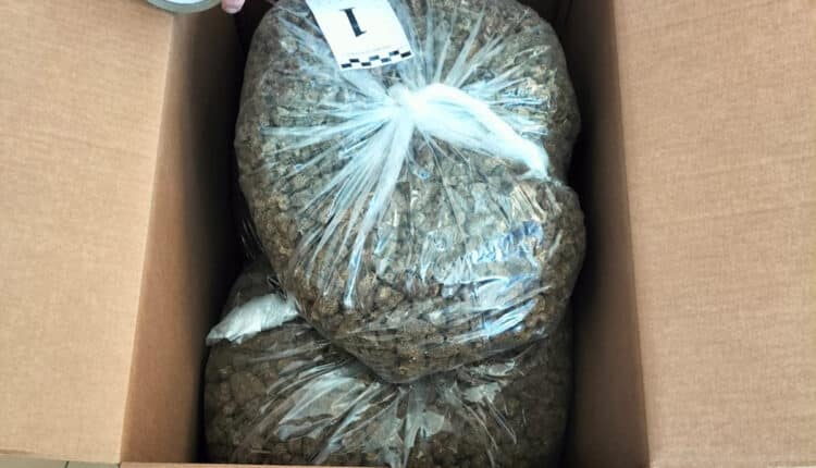 Nuoro: trovato con oltre 40 kg di marijuana e 74 mila euro in contanti, arrestato