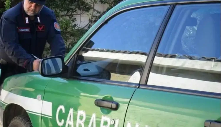 Livorno: maxi sanzione dei Carabinieri forestali ad una ditta per gestione irregolare nella tracciabilità dei rifiuti.