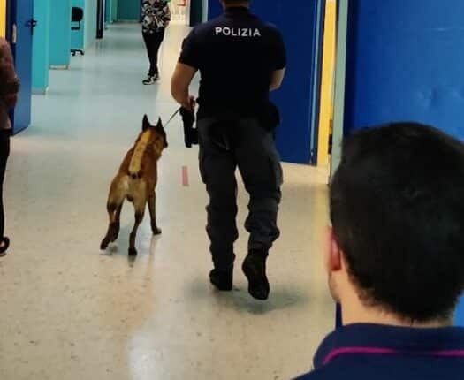 Crotone: continuano i controlli antidroga della Polizia di Stato nelle scuole