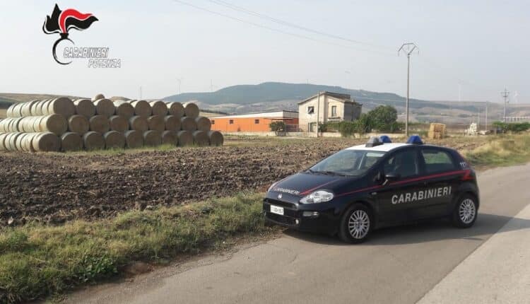 Potenza: rinchiuso in un deposito senza cibo né acqua, i Carabinieri intervengono e traggono in salvo un esemplare di pastore tedesco.