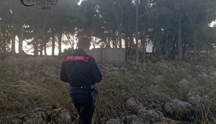 Lecce, ultimi giorni per ripulire le fasce perimetrali intorno a campi, boschi e incolti: il termine è il 31 maggio