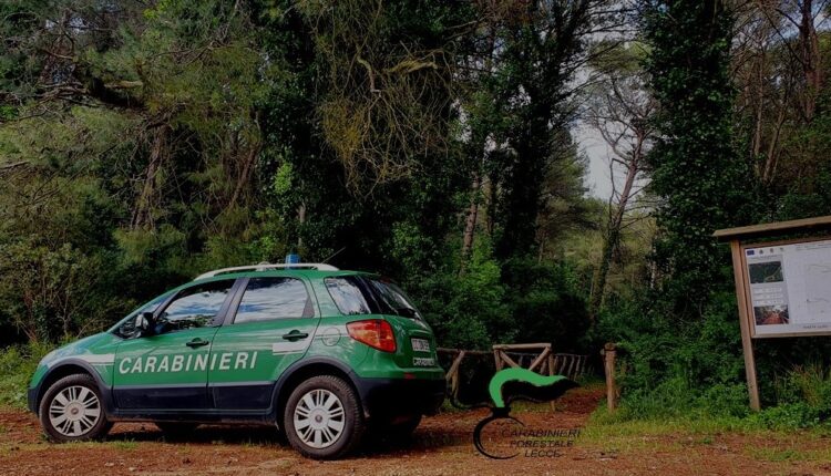 Lecce, ultimi giorni per ripulire le fasce perimetrali intorno a campi, boschi e incolti: il termine è il 31 maggio