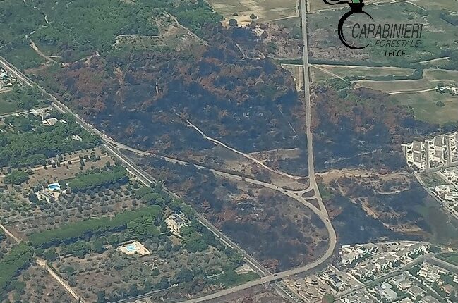 Lecce, ultimi giorni per ripulire le fasce perimetrali intorno a campi, boschi e incolti: il termine è il 31 maggio
