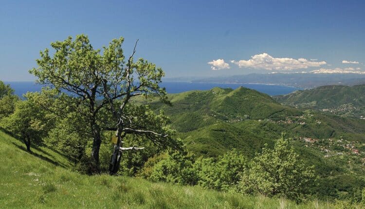 Genova, tutto pronto per la XX edizione della Rigantoca: in marcia dal Righi al Monte Antola