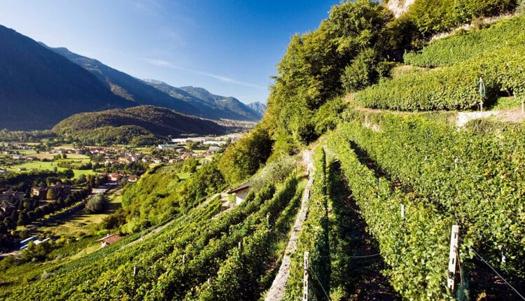 La Regione Lombardia riconosce il Bio-Distretto della Valle Camonica