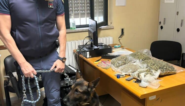 Manduria (TA): scoperta fiorente attività di spaccio nel centro, un arrestato