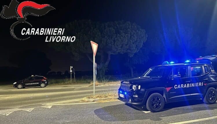 Cecina-Piombino, recuperata e sequestrata sostanza stupefacente dai Carabinieri e riscontrate irregolarità in una macelleria "Halal"