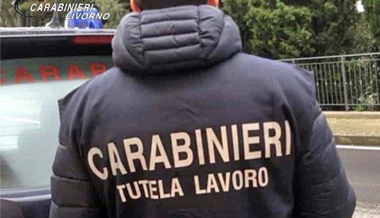 Cecina-Piombino, recuperata e sequestrata sostanza stupefacente dai Carabinieri e riscontrate irregolarità in una macelleria "Halal"