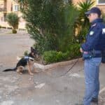 Roma, controlli straordinari interforze: identificate 505 persone, controllati 295 veicoli. Due persone arrestate ed eseguita una misura cautelare in carcere