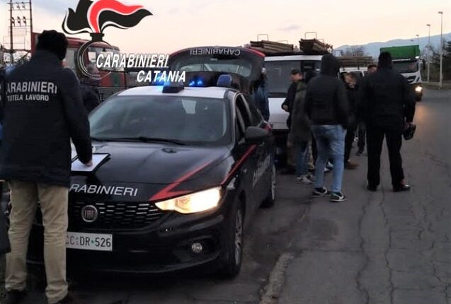 Paternò, sfruttamento dei lavoratori nelle raccolte di arance: 31enne indagato per caporalato