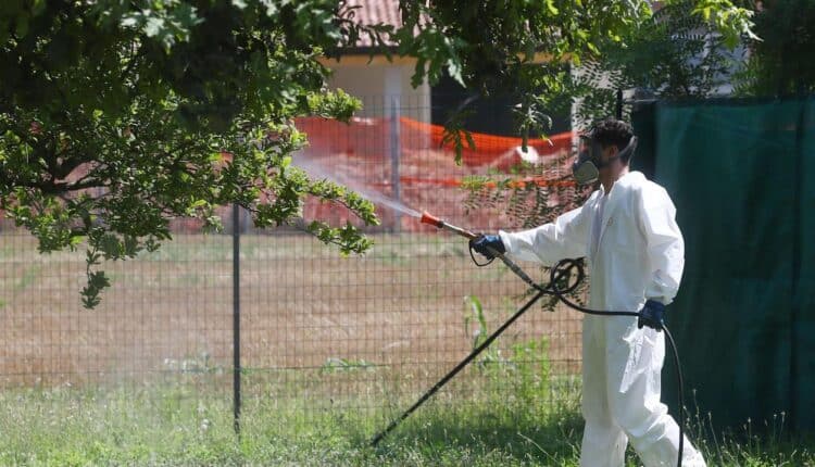 Ravenna, lotta alle zanzare: emanate due ordinanze rivolte a cittadini e imprese per la prevenzione di malattie. 
