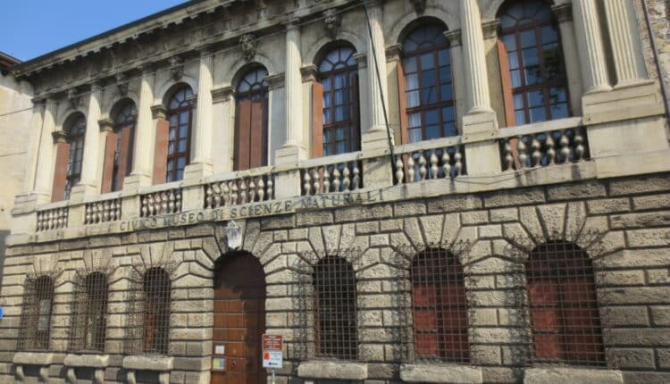 Verona, il Museo di Storia Naturale ospita la mostra dedicata ad Azzurra Pantano