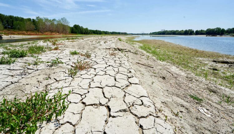 Il piano per contrastare la siccità in Sicilia: 3 milioni per finanziare progetti di pozzi, dissalatori e condotte idriche