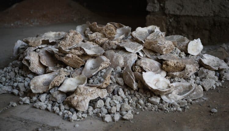 Pompei (NA): scavi nella Regio IX rivelano un sacrario con pareti blu