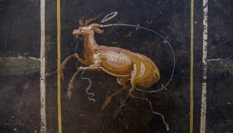 Pompei (NA): scavi nella Regio IX rivelano un sacrario con pareti blu