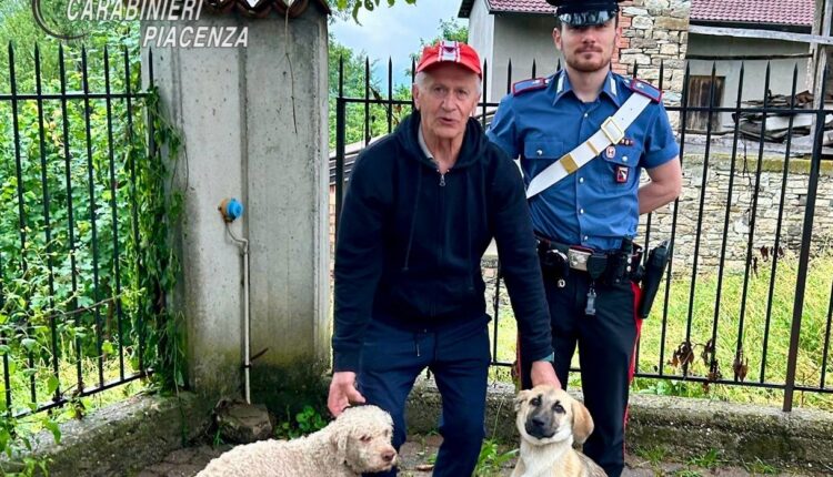 Morfasso, due cani scappano di casa e vagano sul ciglio della strada: salvati dai Carabinieri