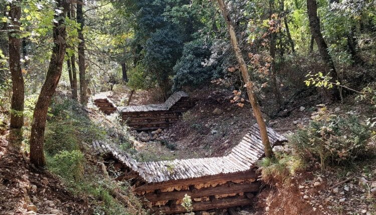 Cecina: controlli nelle aree boschive tesi anche a prevenire fenomeni di dissesto idrogeologico.