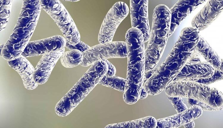 Livorno: monitoraggio legionella sul territorio comunale.