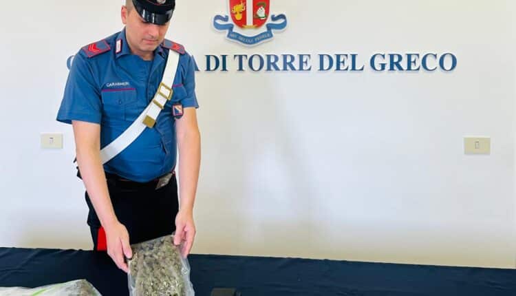 Massa di Somma: Carabinieri arrestano madre e figlio entrambi già noti alle Forze dell'Ordine.