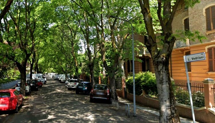 Modena: messi a dimora oltre 1300 alberi per i nuovi nati.