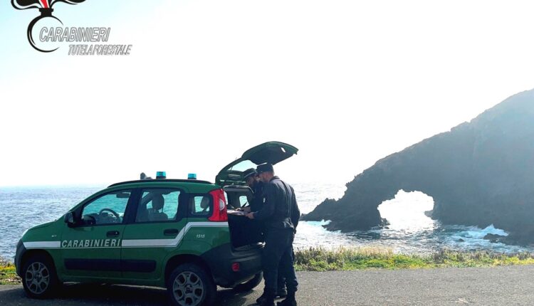 Pantelleria: controlli sulla cementificazione selvaggia nelle aree protette, scattano denunce e sanzioni per quattro soggetti.