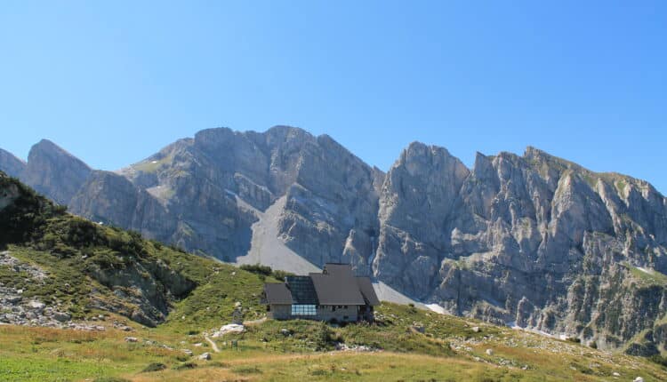 Regione Liguria e Aree Protette delle Alpi Marittime: continua il progetto Life WolfAlps con l'app Gaia Observer