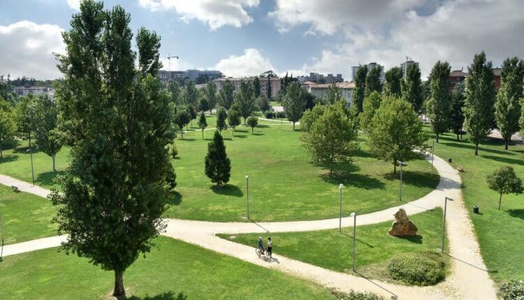 Verona: un'estate di musica e divertimento a Parco San Giacomo.