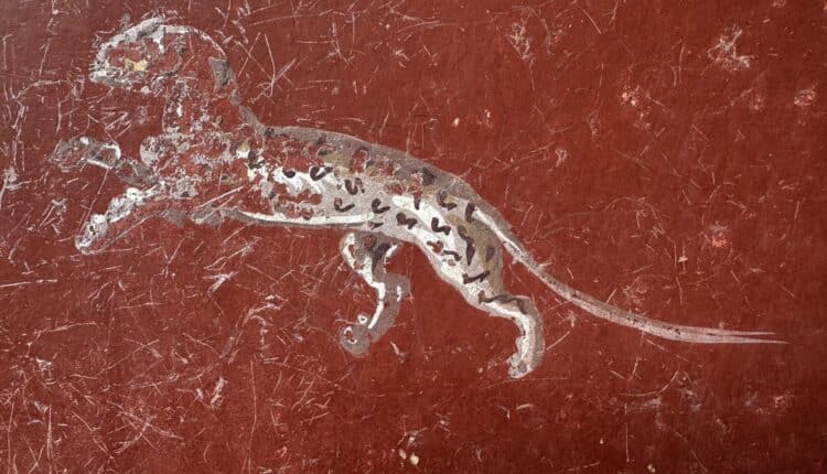 Pompei (NA): scavi nella Regio IX rivelano un sacrario con pareti blu