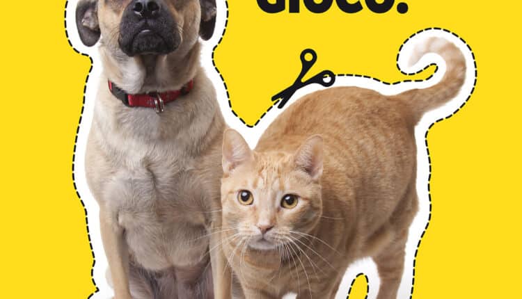 Bologna, al via la nuova campagna del Comune contro l'abbandono degli animali