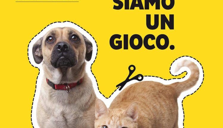 Bologna, al via la nuova campagna del Comune contro l'abbandono degli animali