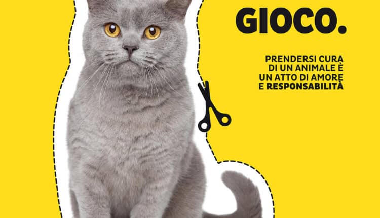 Bologna, al via la nuova campagna del Comune contro l'abbandono degli animali