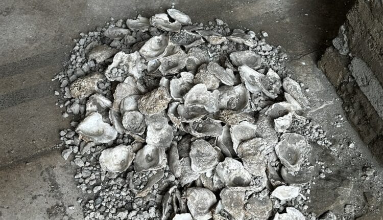 Pompei (NA): scavi nella Regio IX rivelano un sacrario con pareti blu